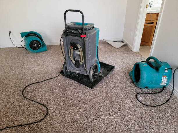 Best 24/7 water damage repair  in Purcell, OK