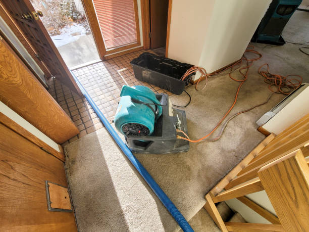 Best Ceiling water damage repair  in Purcell, OK