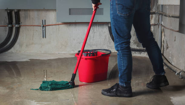 Best Carpet water damage restoration  in Purcell, OK