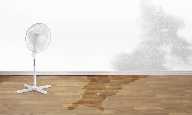 Best Water damage cleanup near me  in Purcell, OK