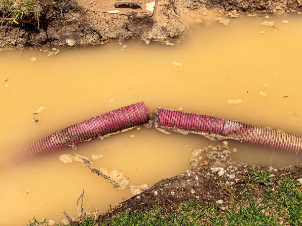 Carpet water damage restoration in OK