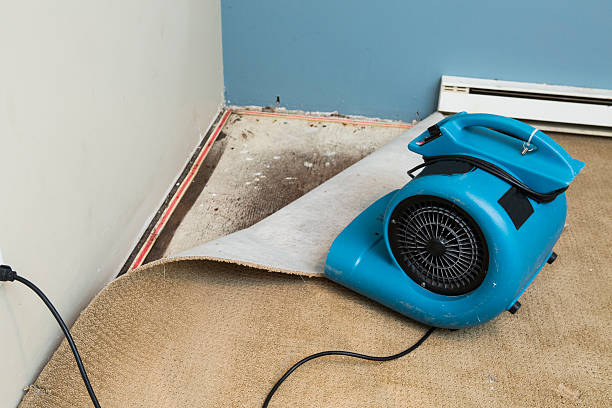 Best Water damage contractors near me  in Purcell, OK